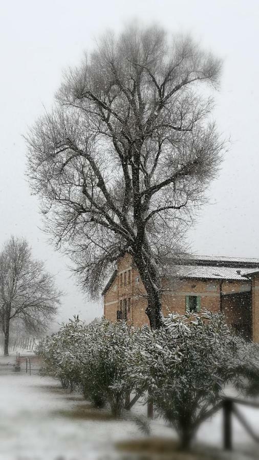 Agriturismo Le Giarine Fogliano Redipuglia Exterior photo
